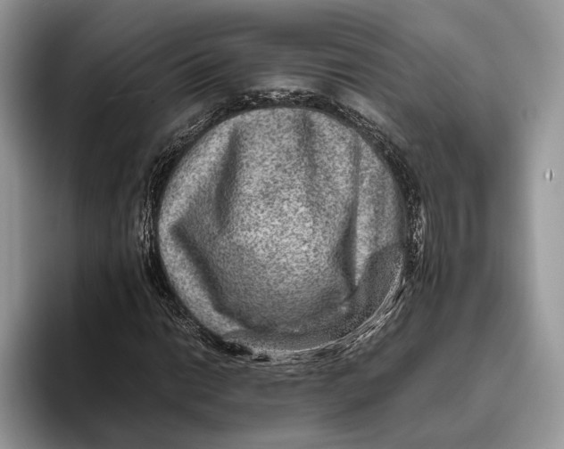 X0000095941014200802011037