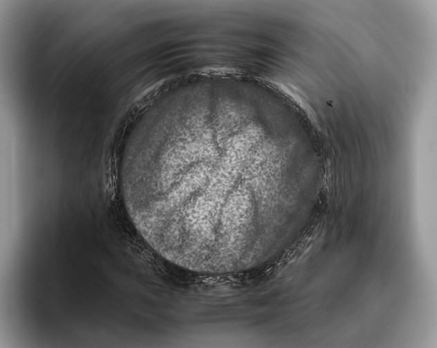 X0000095941015200802011037