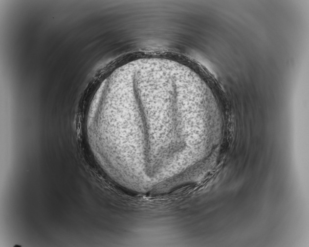 X0000095941016200802011037