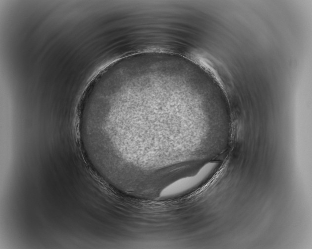 X0000095941019200802011037