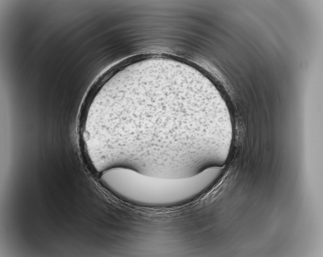 X0000095941020200802011037