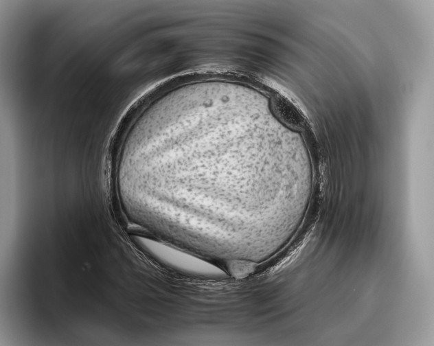 X0000095941021200802011037