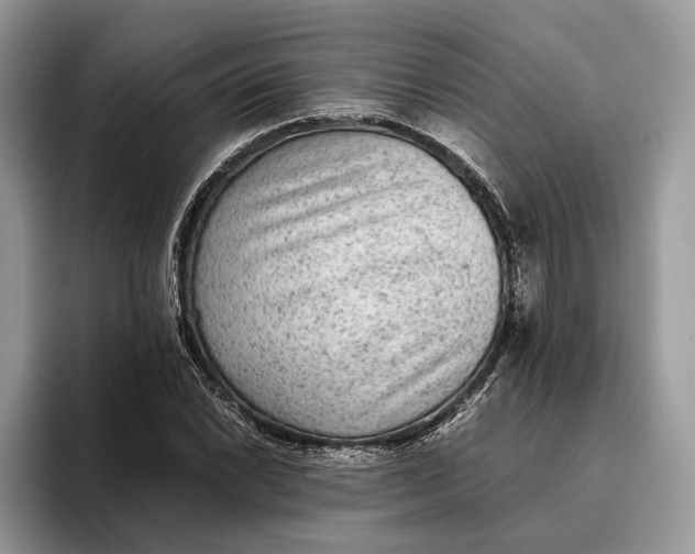 X0000095941022200802011037