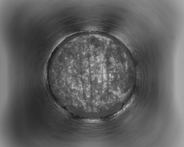 X0000095941023200802011037