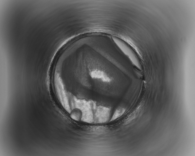 X0000095941024200802011037