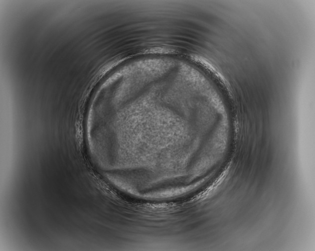 X0000095941025200802011037