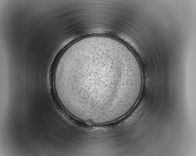 X0000095941026200802011037