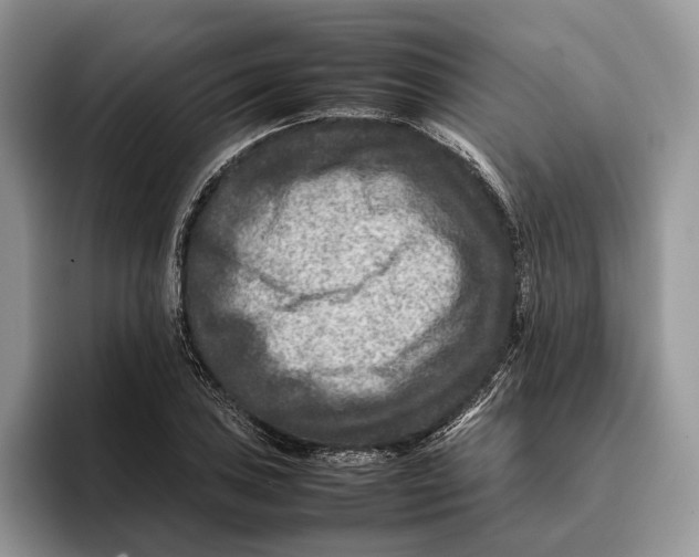 X0000095941027200802011037