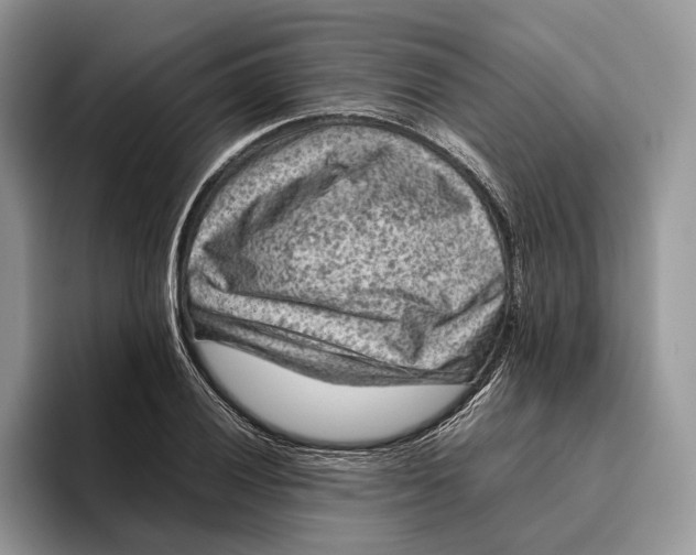 X0000095941028200802011037