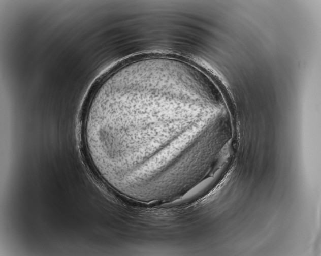 X0000095941029200802011037