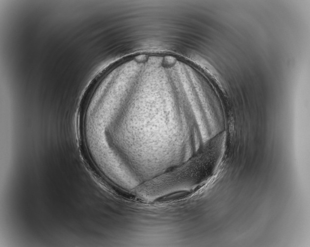 X0000095941030200802011037