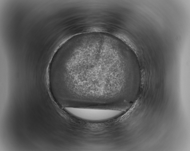 X0000095941031200802011037