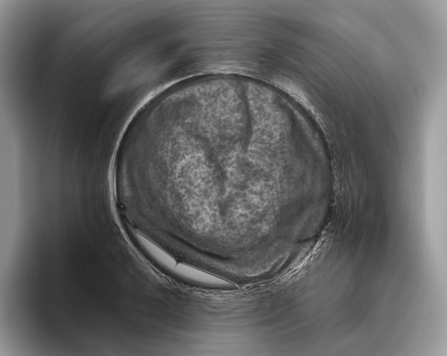 X0000095941032200802011037