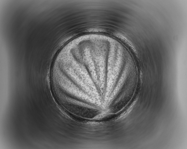 X0000095941033200802011037