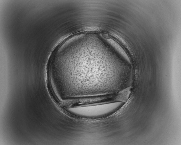 X0000095941034200802011037