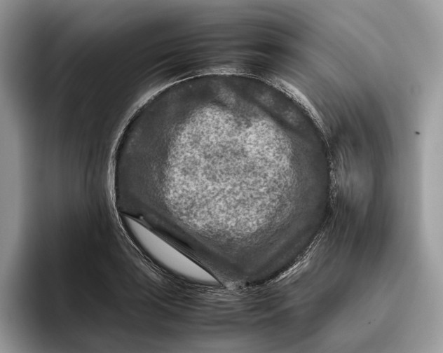 X0000095941035200802011037