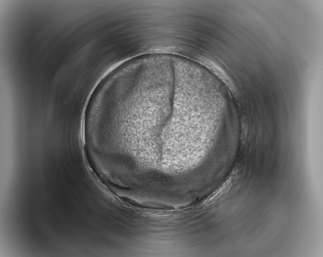 X0000095941036200802011037