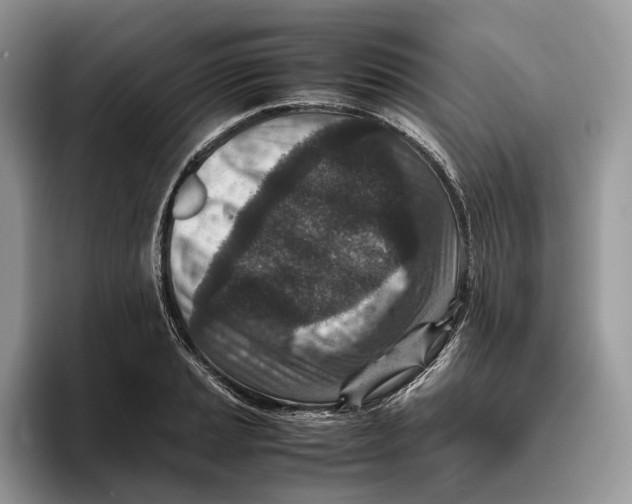 X0000095941037200802011037