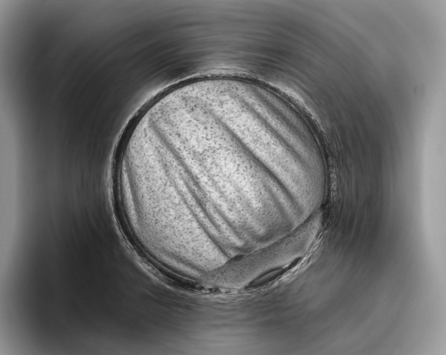 X0000095941038200802011037