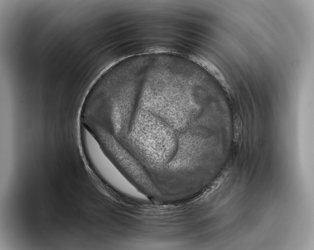 X0000095941039200802011037