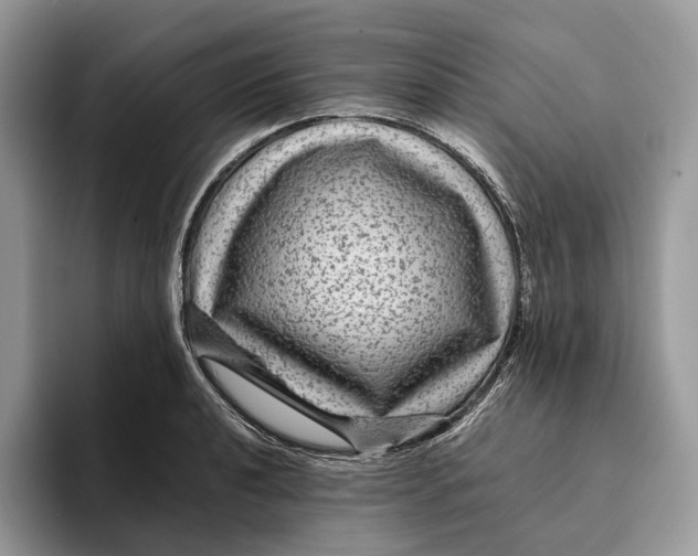 X0000095941040200802011037