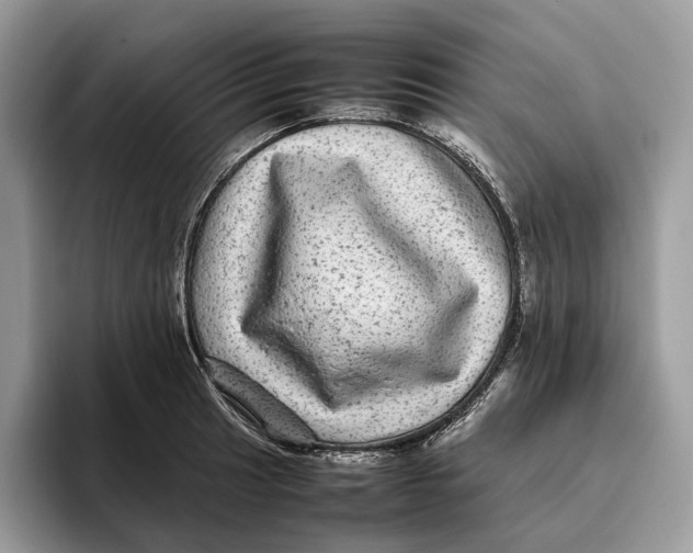 X0000095941041200802011037