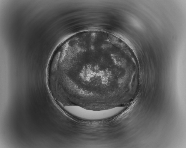 X0000095941045200802011037