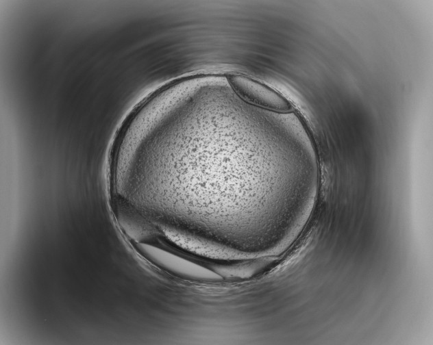 X0000095941046200802011037