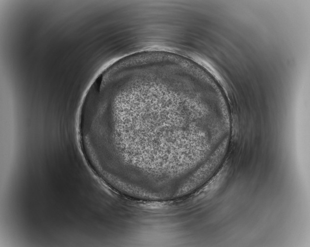 X0000095941048200802011037