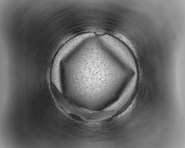 X0000095941049200802011037