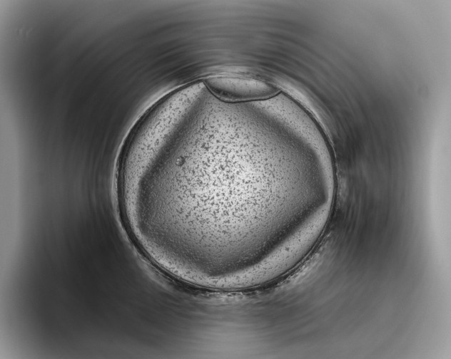 X0000095941050200802011037