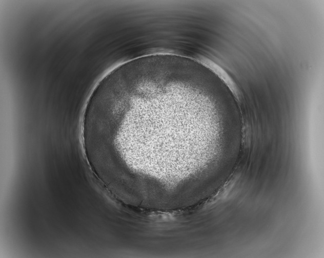 X0000095941051200802011037