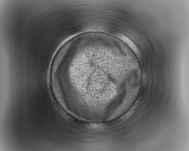 X0000095941052200802011038