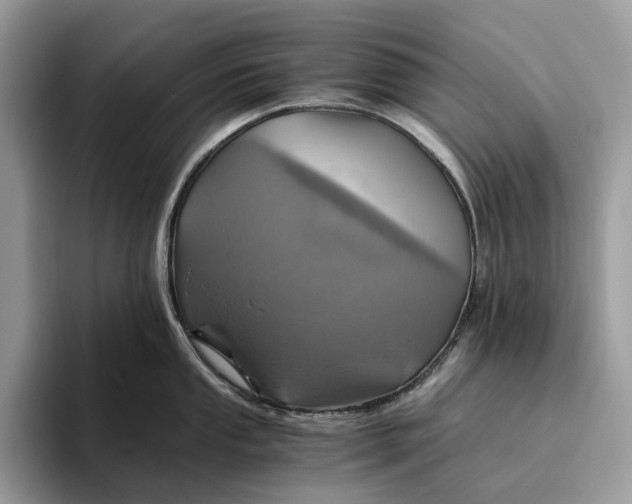 X0000095941053200802011038