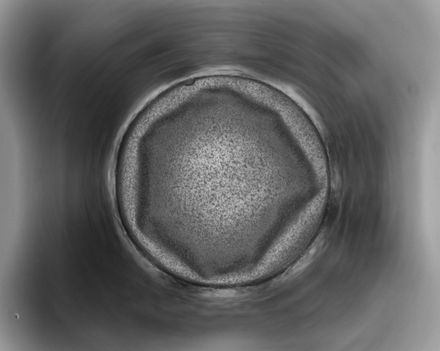 X0000095941054200802011038