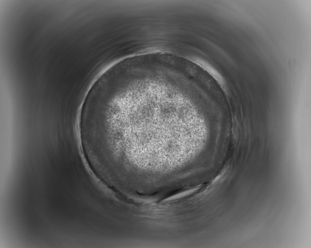 X0000095941055200802011038