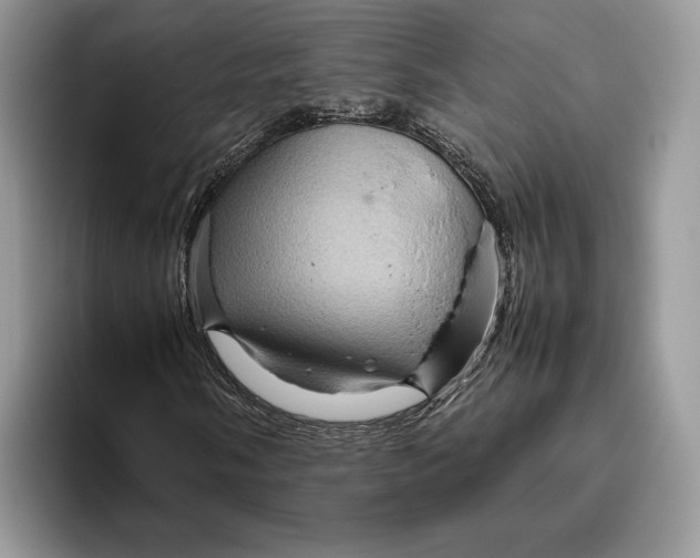 X0000095941058200802011037