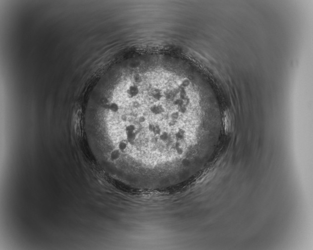 X0000095941059200802011037