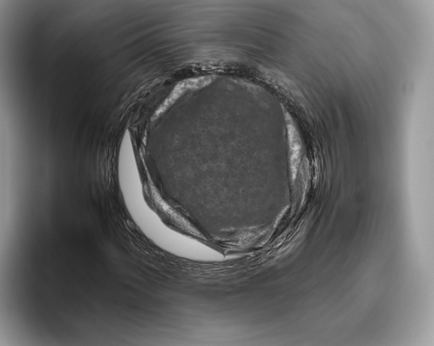 X0000095941060200802011037