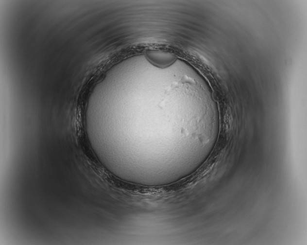 X0000095941062200802011037