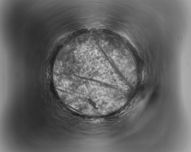 X0000095941063200802011037