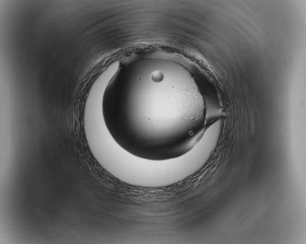 X0000095941064200802011037