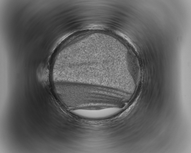 X0000095941066200802011037