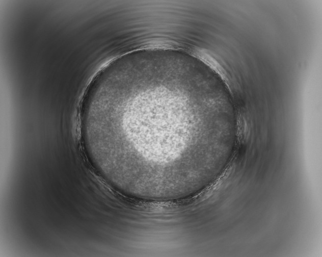 X0000095941067200802011037