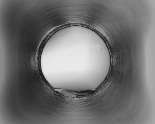 X0000095941068200802011037