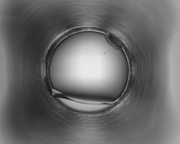 X0000095941069200802011037