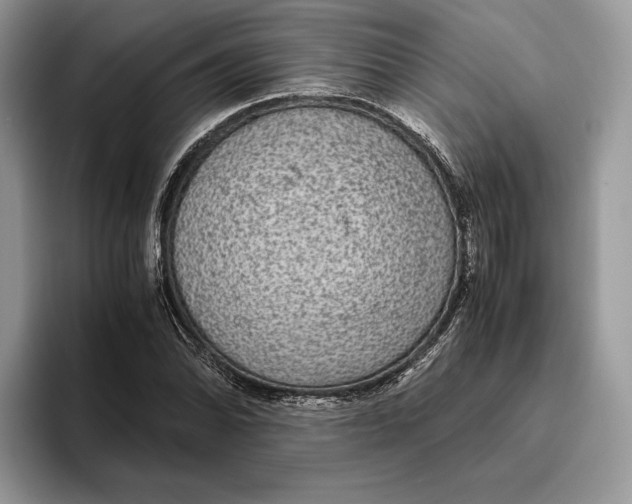 X0000095941070200802011037