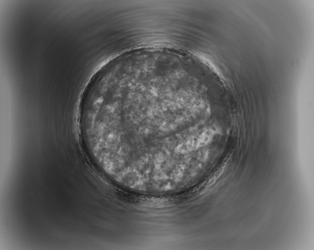 X0000095941071200802011037