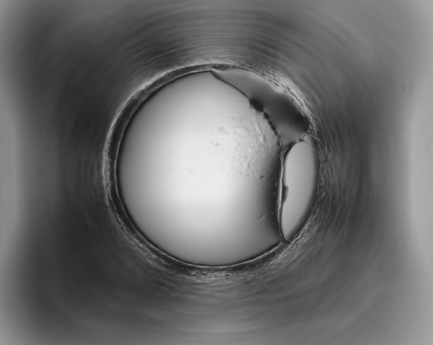 X0000095941072200802011037