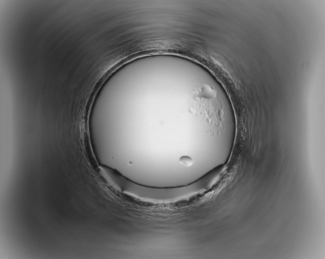 X0000095941073200802011037